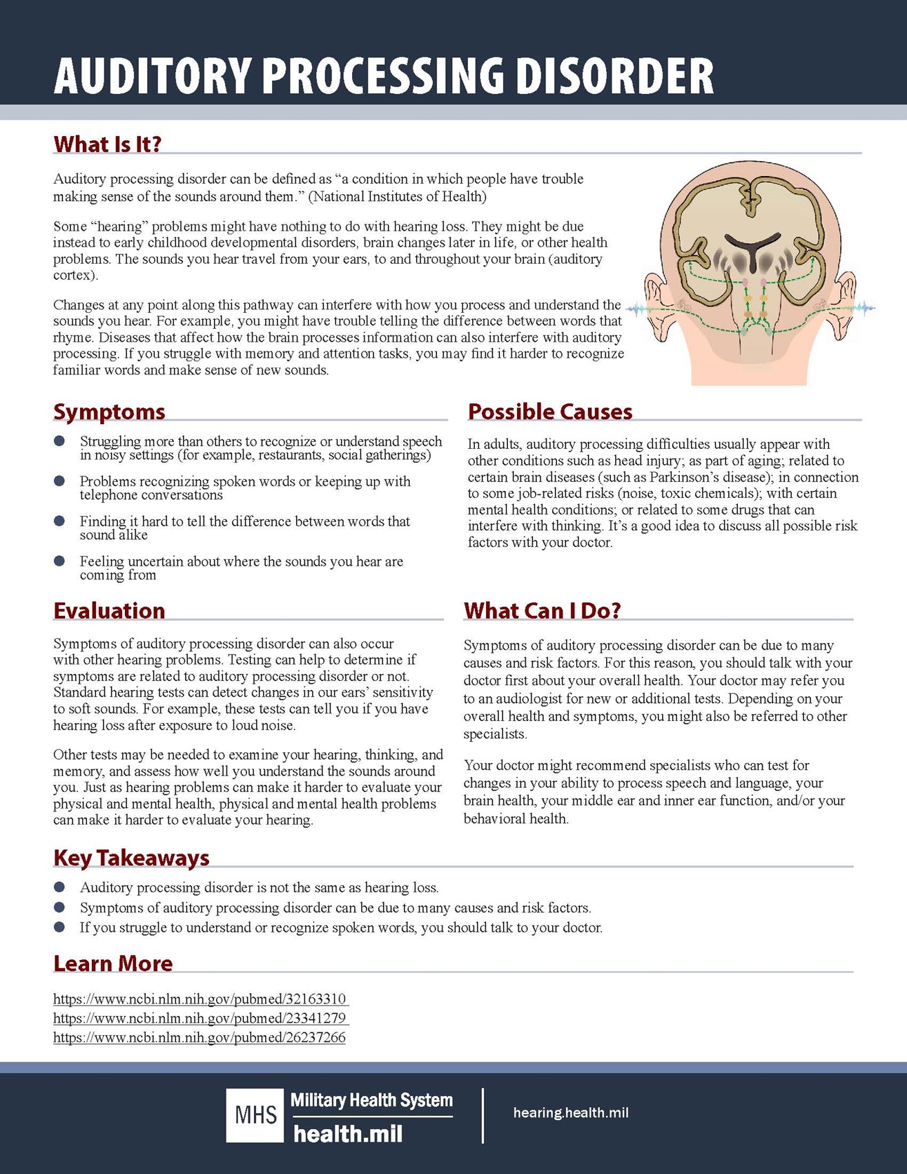Auditory Processing Disorder Fact Sheet