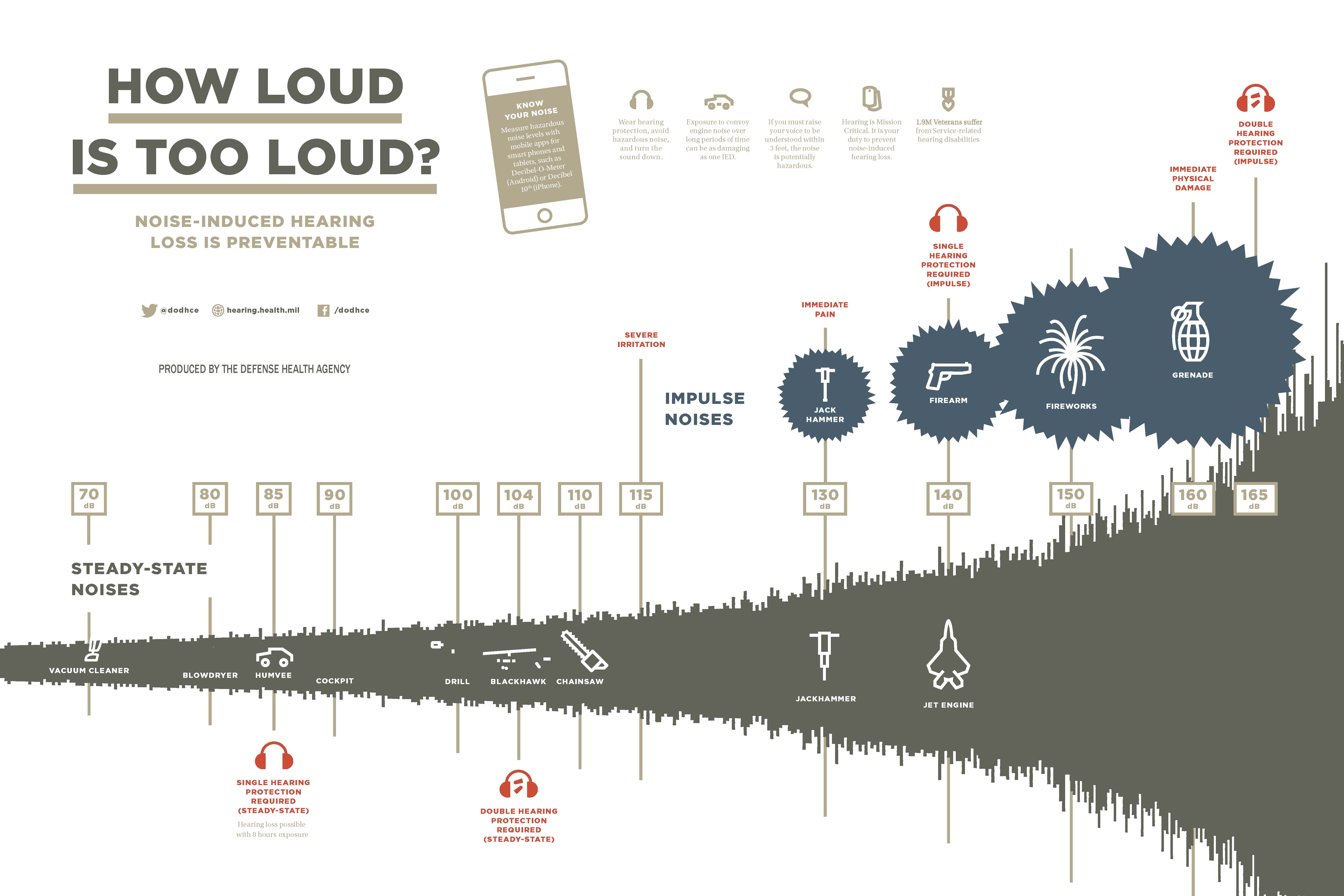  Noise Level – How Loud is Too Loud? 20  x 30