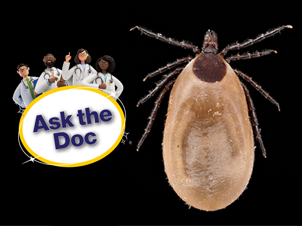 Image of Ask the Doc: How Can I Protect My Family and Buddies from Ticks?.