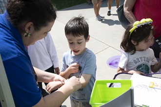 Link to Photo: Bugapalooza