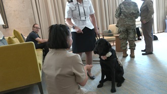 Link to Video: Hospital Dogs Help Reduce Staff Stress