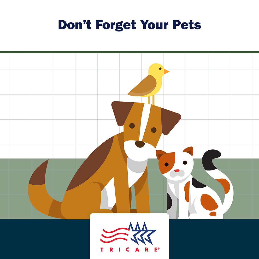 Link to Infographic:  Image of dog and cat with text "Don't forget your dogs and cats"