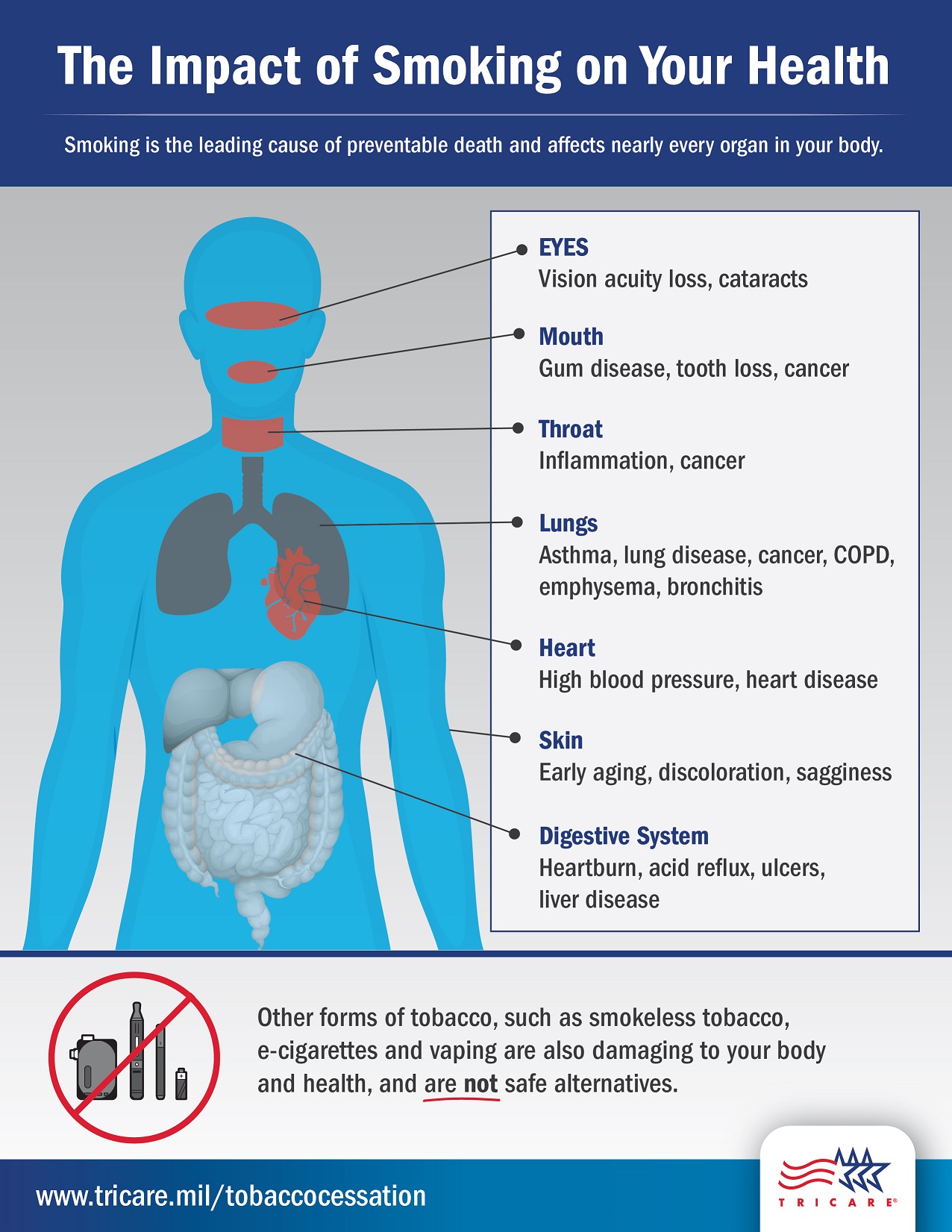 Image of person's body with call-outs of how smoking affects different areas of the body