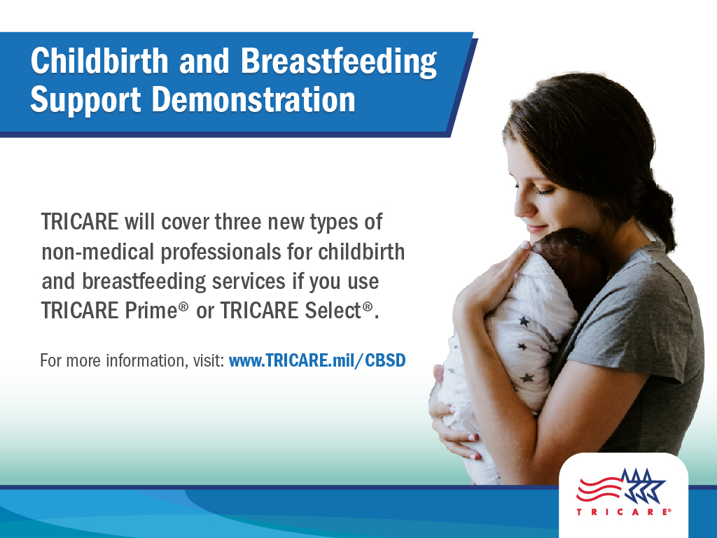 Link to Infographic: Childbirth and Breastfeeding Support Demonstration Graphic