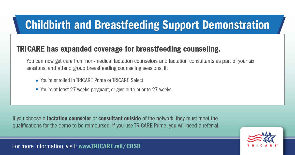 Link to Infographic: Childbirth and Breastfeeding Support Demonstration Grpahic