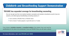 Childbirth and Breastfeeding Support Demonstration Grpahic