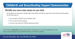 Childbirth and Breastfeeding Suppport Graphic