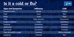 Graphic comparing cold and flu symptoms 