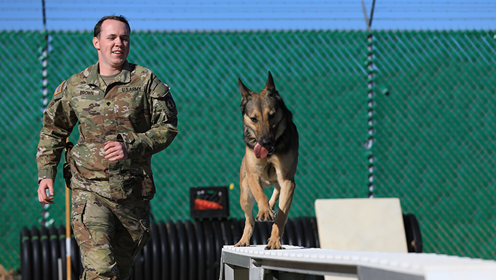 Military personnel with K9