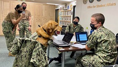 A dog interacts with students