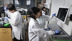 Military medical personnel in laboratory