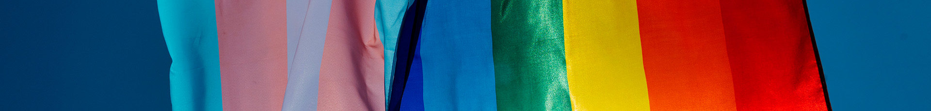 image of LGBTQIA+ and transgender flags (photo courtesy: Shutterstock)