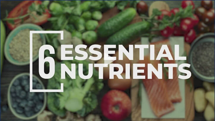 Link to Video: 6 Essential Nutrients